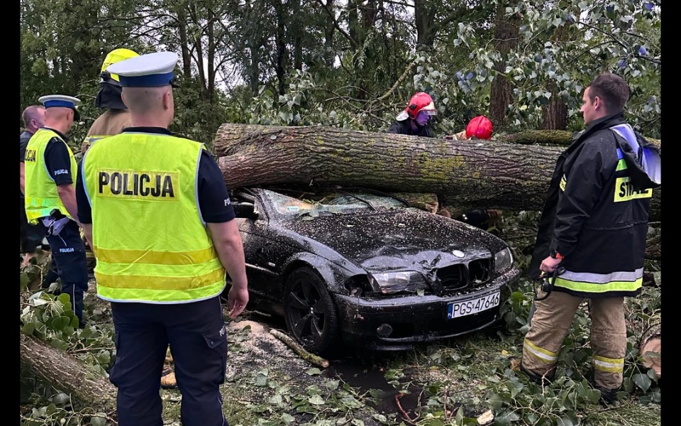 
        Zbiórka Oszukałem przeznaczenie - zdjęcie główne
    