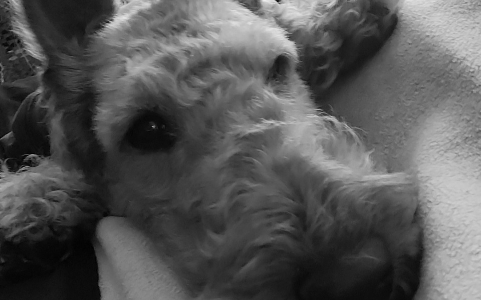 
        Zbiórka Regulowany stabilizator - zdjęcie główne
    