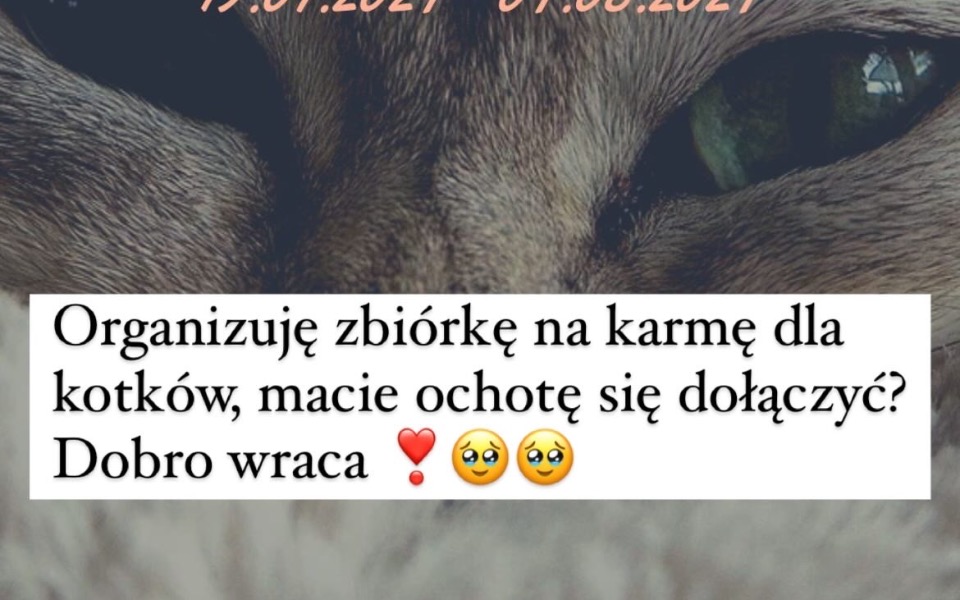 
        Zbiórka Zbiórka na karmę dla Szarika - zdjęcie główne
    