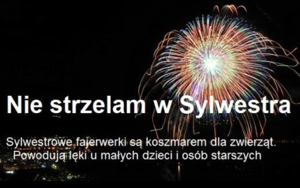 
        Zbiórka Mieszkanie zamiast fajerwerków - zdjęcie główne
    