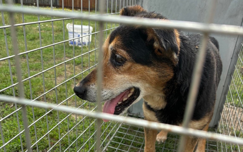 
        Zbiórka Transport płatny dla staruszka - zdjęcie główne
    