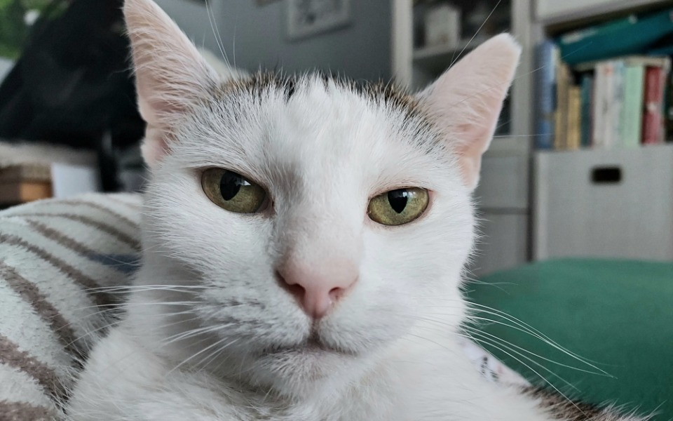 
        Zbiórka Leczenie Gabi - zdjęcie główne
    