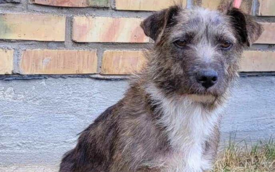 
        Zbiórka Na ucieczkę z Green House - zdjęcie główne
    