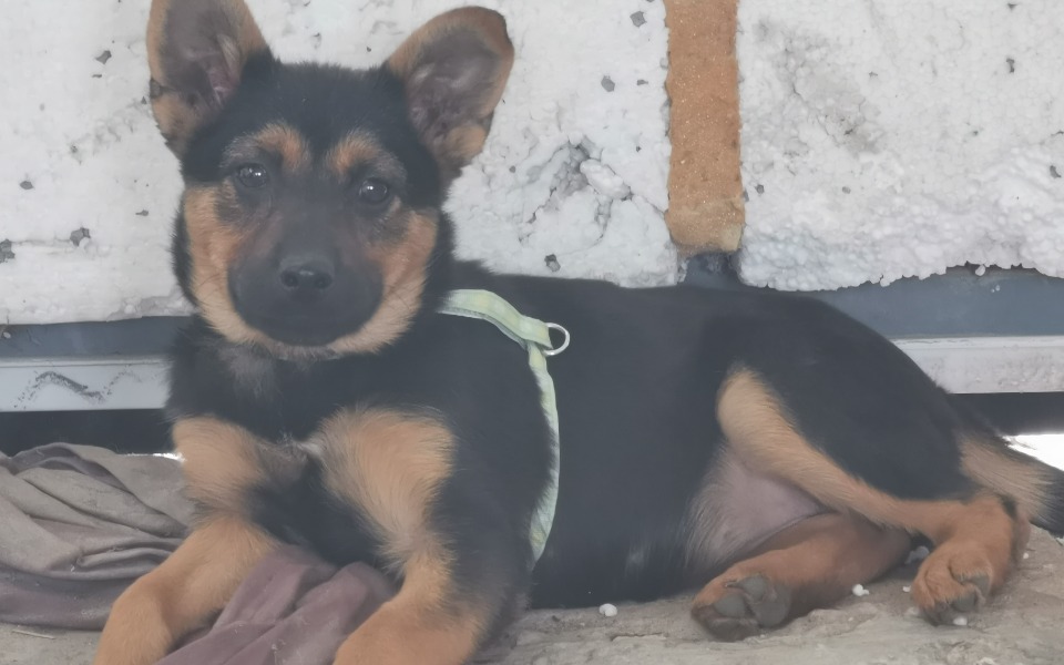 
        Zbiórka na znajdy - zdjęcie główne
    