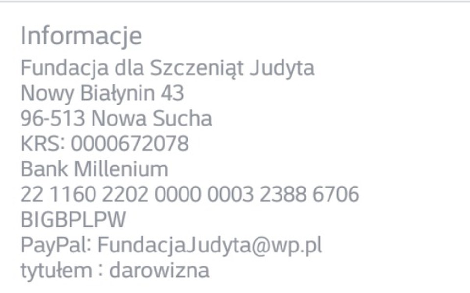 
        Zbiórka Dla fundacji dla Szczeniąt Judyt - zdjęcie główne
    