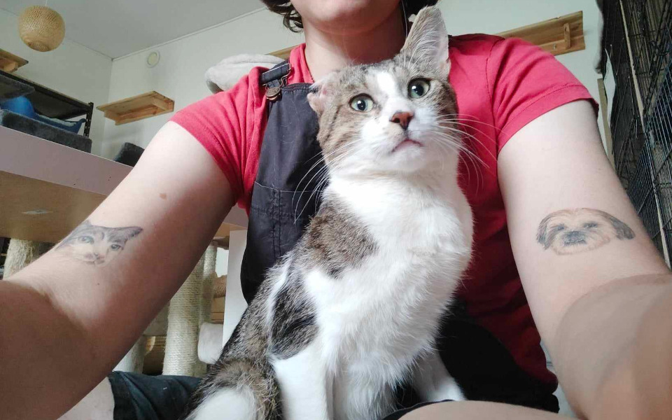 
        Zbiórka Urodzinowa zbiórka na kotki - zdjęcie główne
    