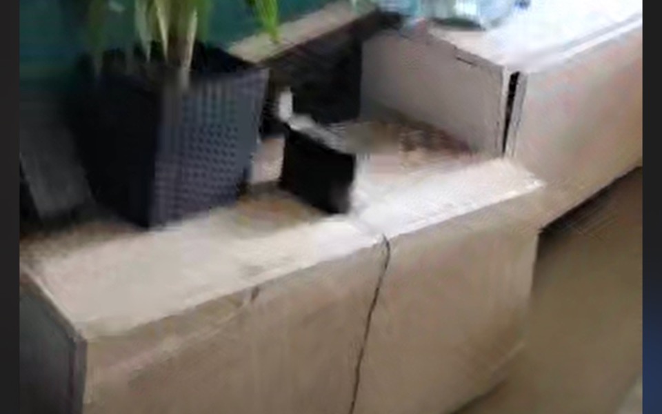 
        Zbiórka Remont po powodzi w Bialej - zdjęcie główne
    