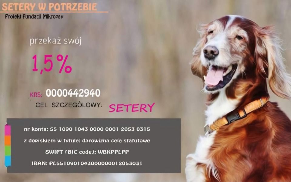 
        Zbiórka Urodzinowa zbiórka dla Setery W - zdjęcie główne
    