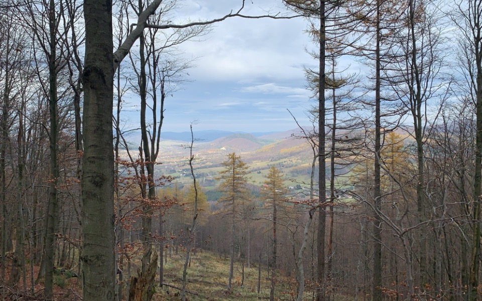 
        Zbiórka Zbiorka na własne wesele - zdjęcie główne
    