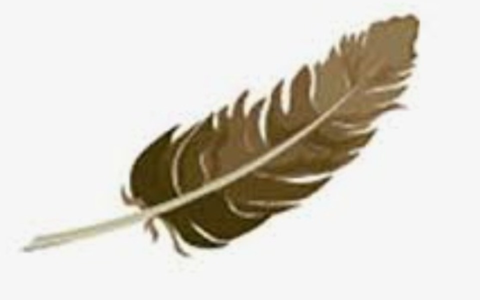 Zbiórka Dla Pióra Byle do wiosny - zdjęcie główne