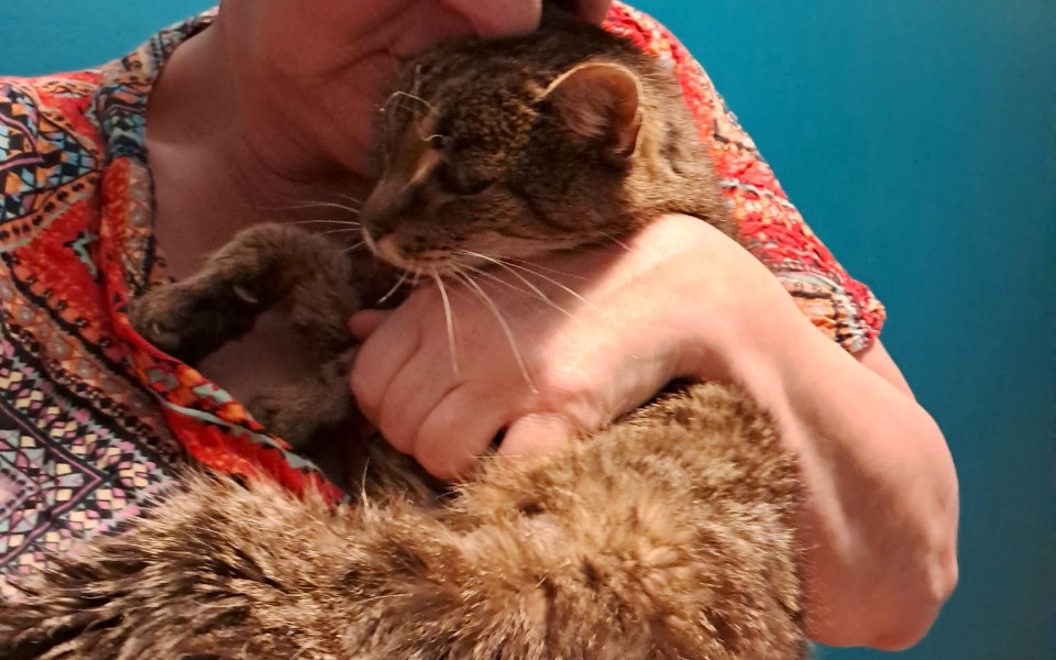 
        Zbiórka Ja bardzo cierpię pomóż mi . - zdjęcie główne
    