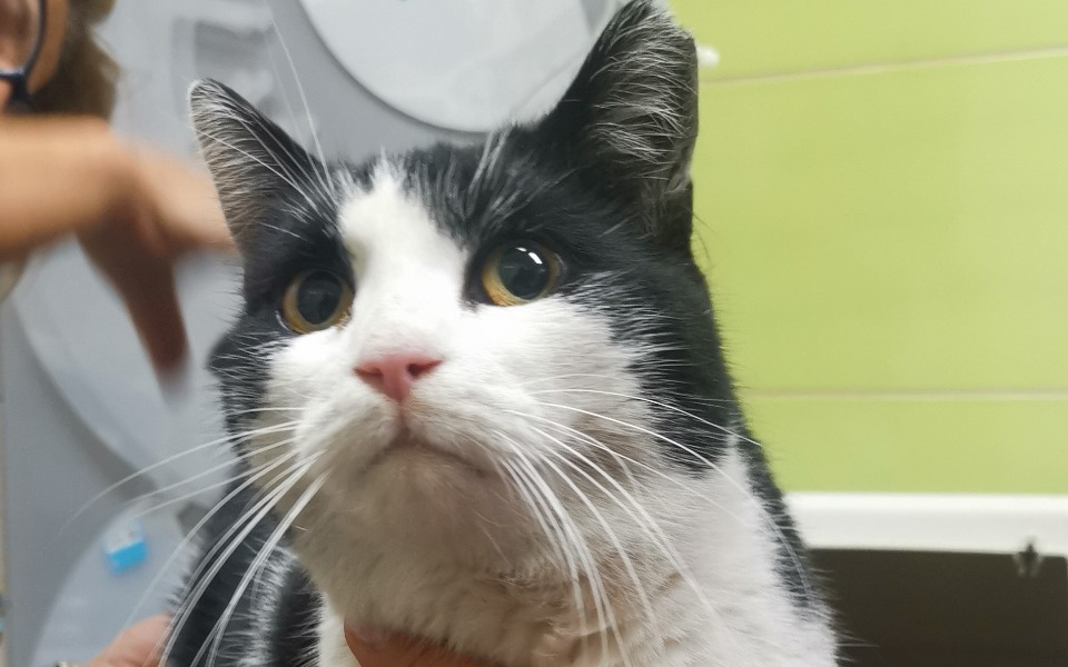 
        Zbiórka Ból zęba - zdjęcie główne
    