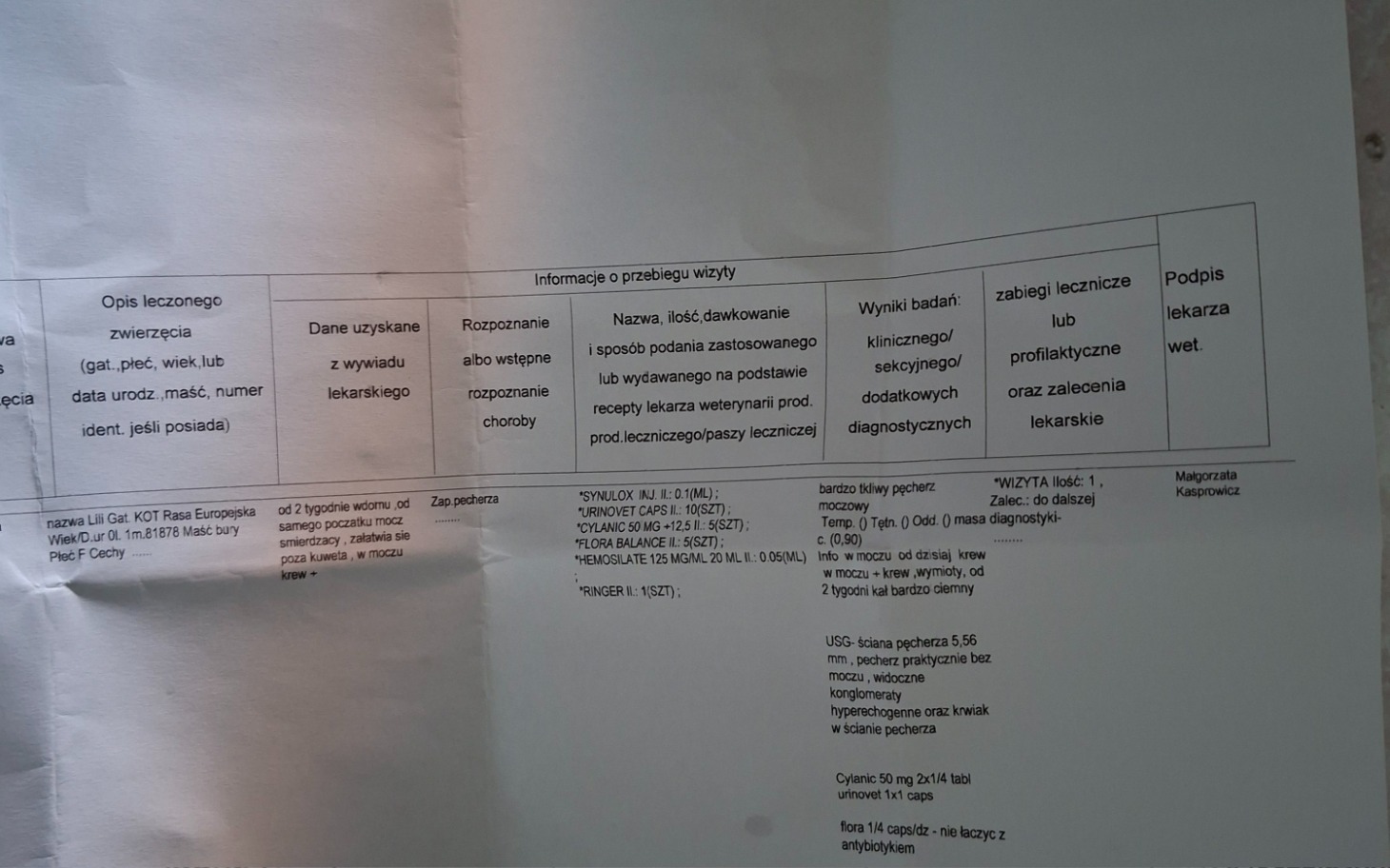 
        Dokument medyczny z informacjami o leczeniu zwierzęcia.
    