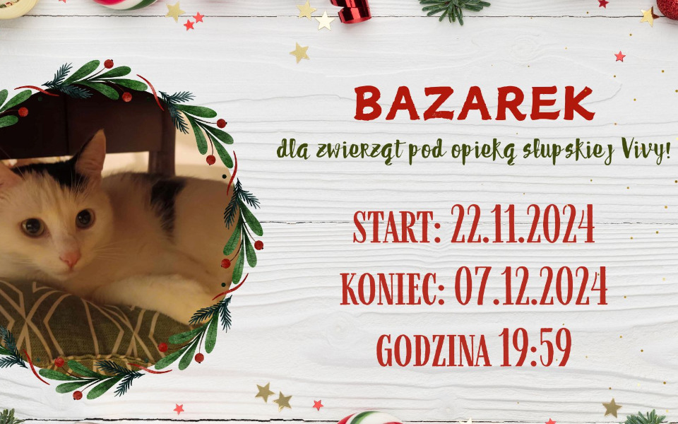 
        Zbiórka Bazarek dla zwierząt 22.11-7.12 - zdjęcie główne
    