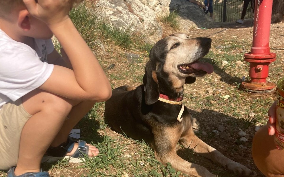 
        Dziecko siedzące obok psa na trawie, spędzają czas razem.
    