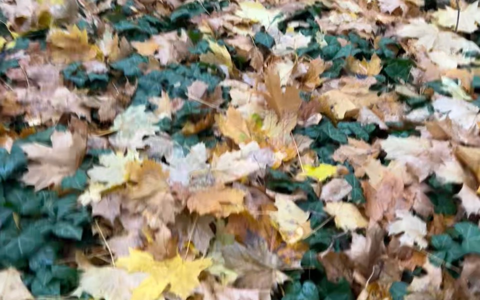 
        Zbiórka Powrót na dobre tory - zdjęcie główne
    