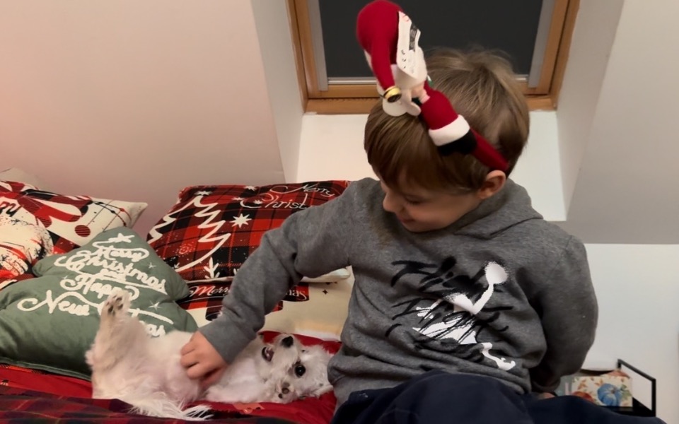 
        Zbiórka Świąteczna zbiórka Kuby 2.0 - zdjęcie główne
    