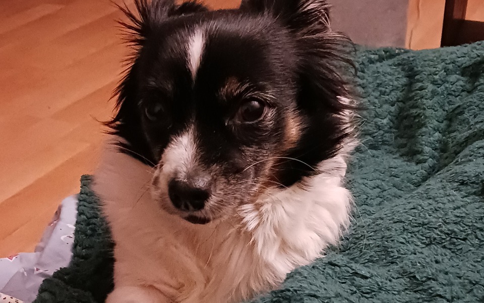 
        Zbiórka Na opłacenie mieszkania 2 - zdjęcie główne
    