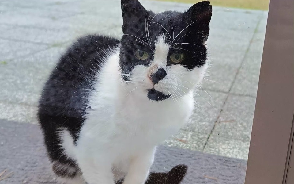 
        Zbiórka Pomóżmy Lilce stanąć na nogi - zdjęcie główne
    