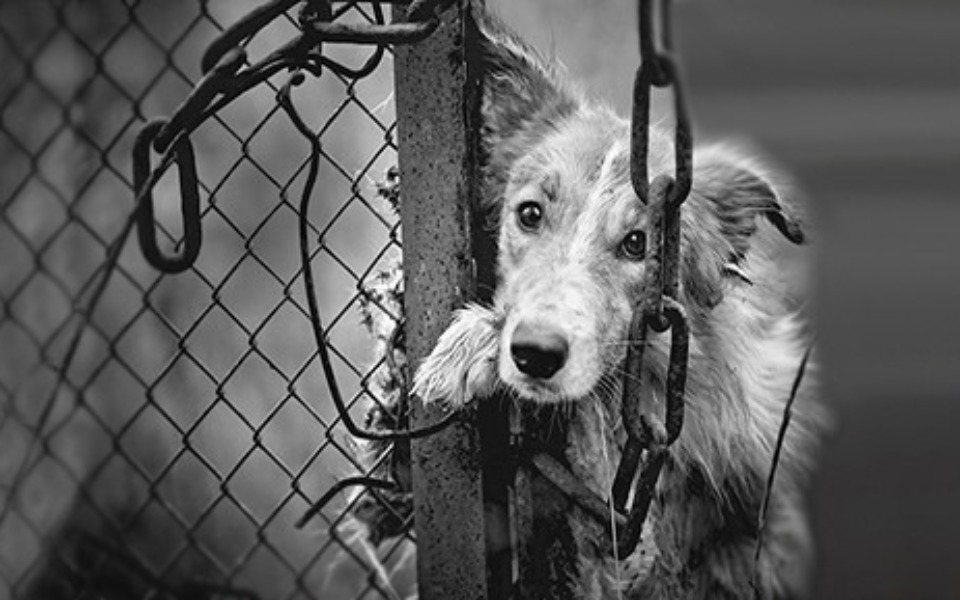 
        Zbiórka Zbiórka Ewy dla OTOZ K-Koźle - zdjęcie główne
    