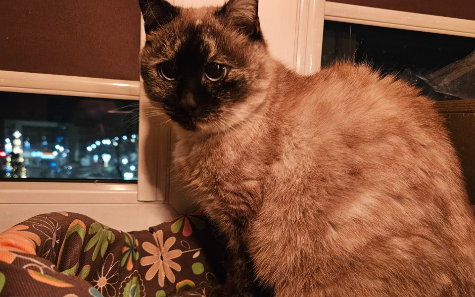 
        Zbiórka Zuzia zbiera na zdrowy uśmiech - zdjęcie główne
    