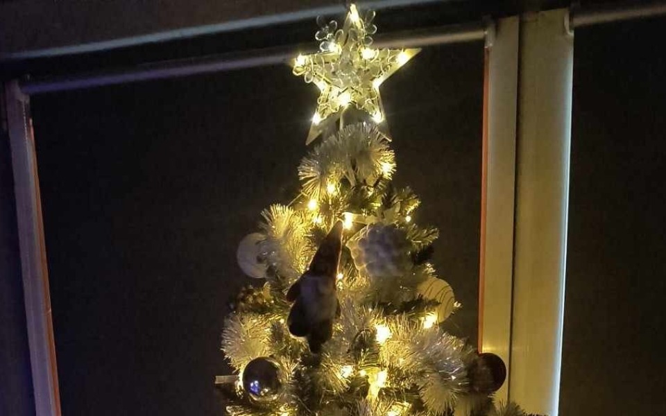 
        Zbiórka Spłata zadłużenia mieszkaniowego - zdjęcie główne
    