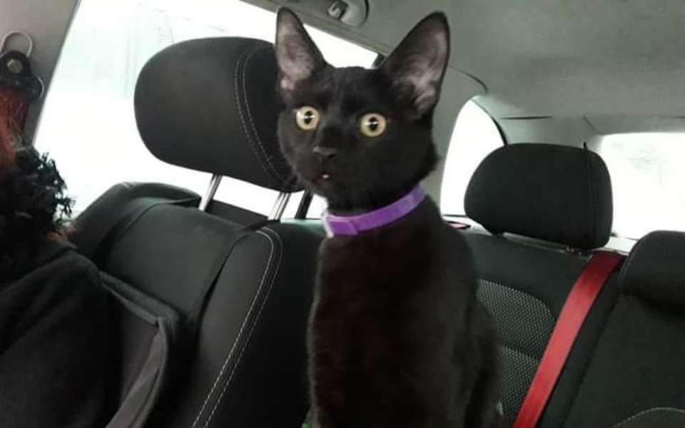 
        Zbiórka na leczenie MARKA - zdjęcie główne
    