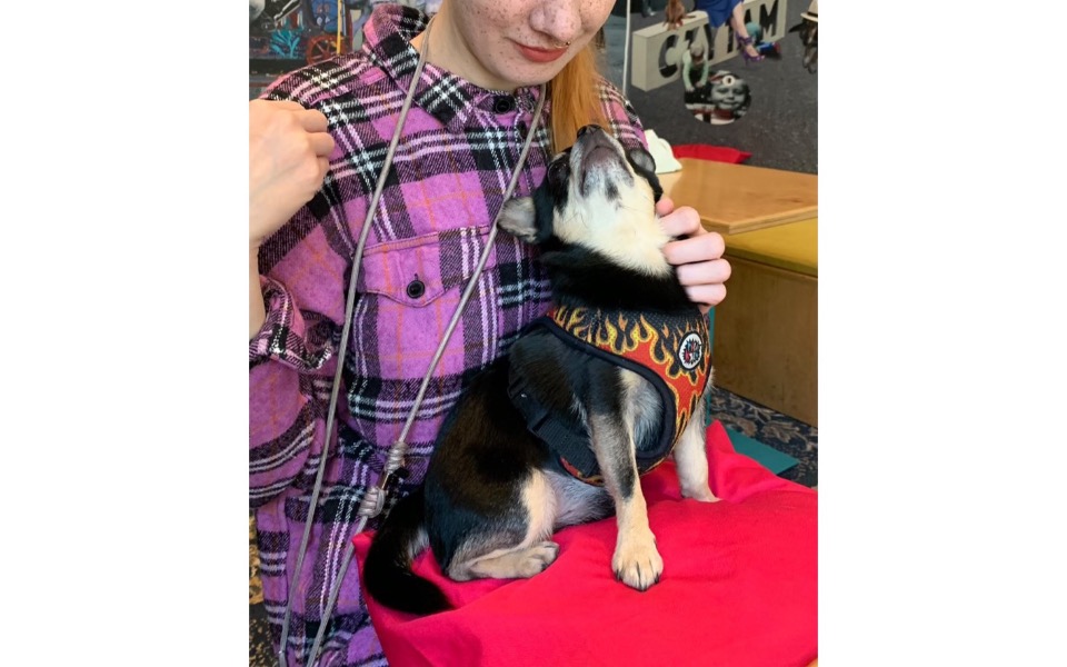 
        Zbiórka Pomoc dla SCOOTERKA - zdjęcie główne
    