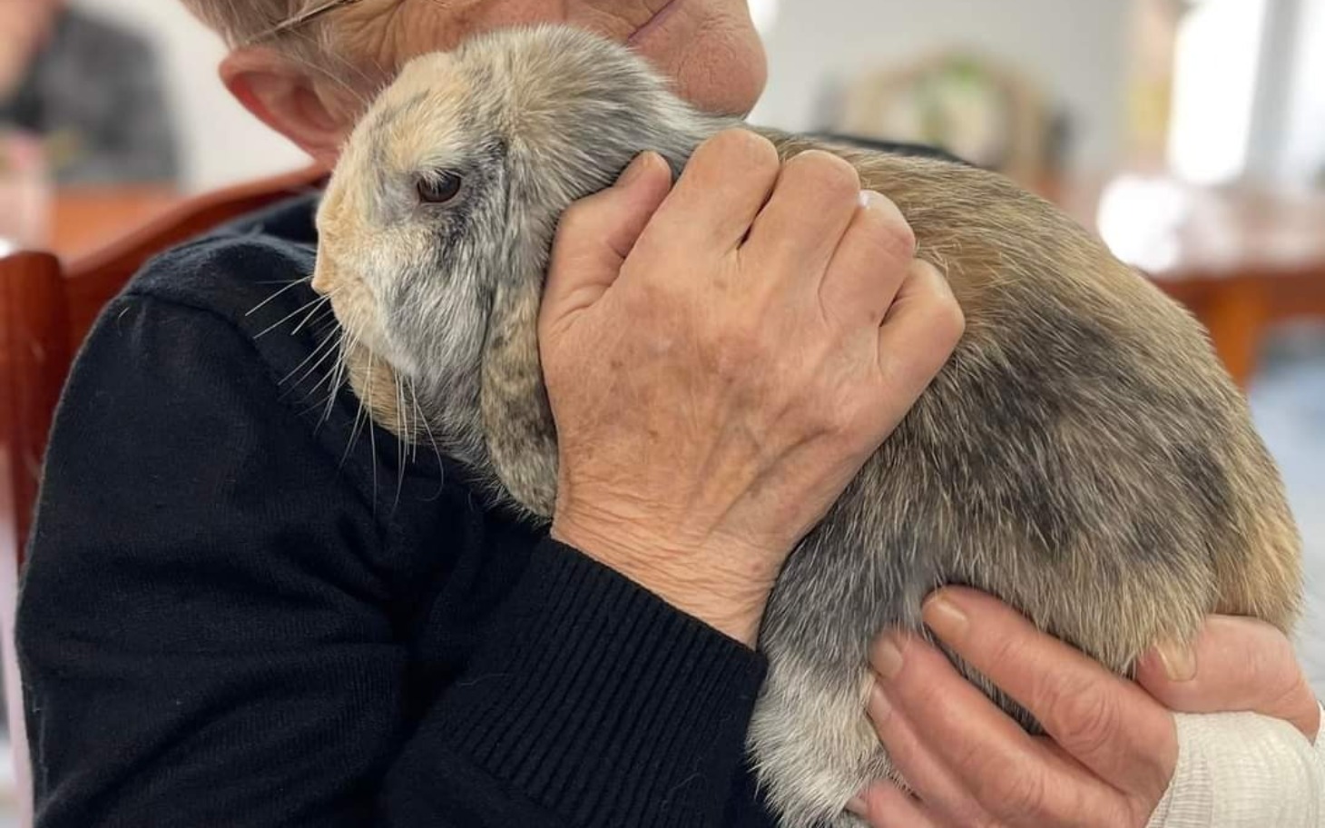 
        Osoba przytulająca królika, wyrażająca miłość i czułość.
    