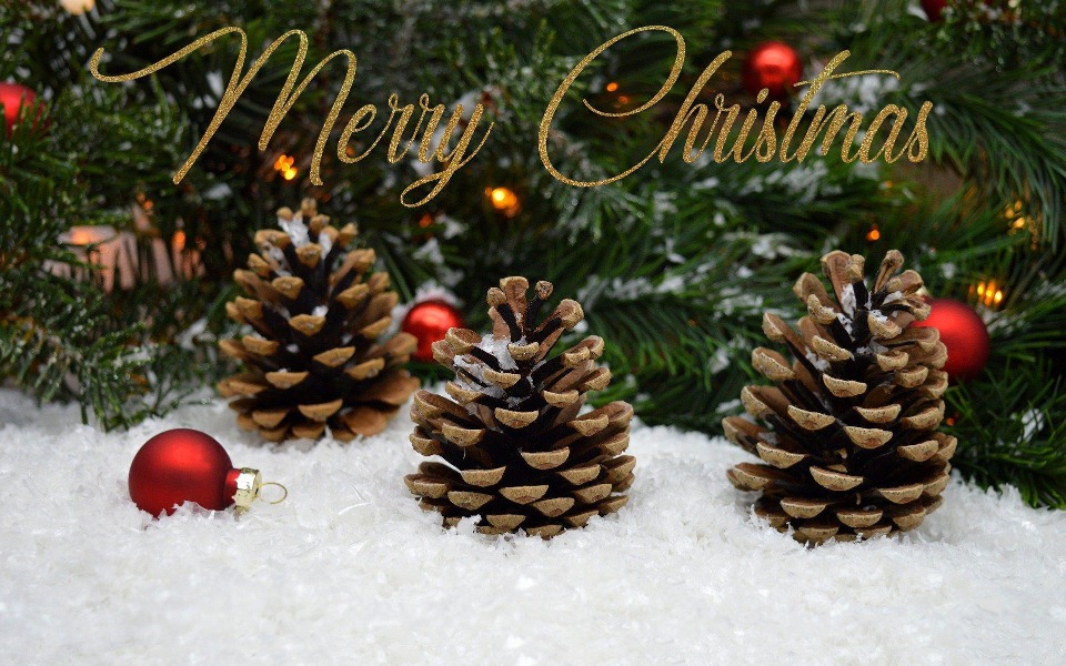 
        Zbiórka Dach nad glowa - opłata czynszu - zdjęcie główne
    