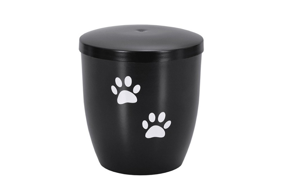 
        Zbiórka Pożegnanie Pigi - zdjęcie główne
    