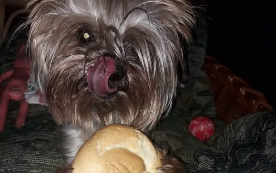 
        Zbiórka Operacja i ratująca życie Emisi - zdjęcie główne
    