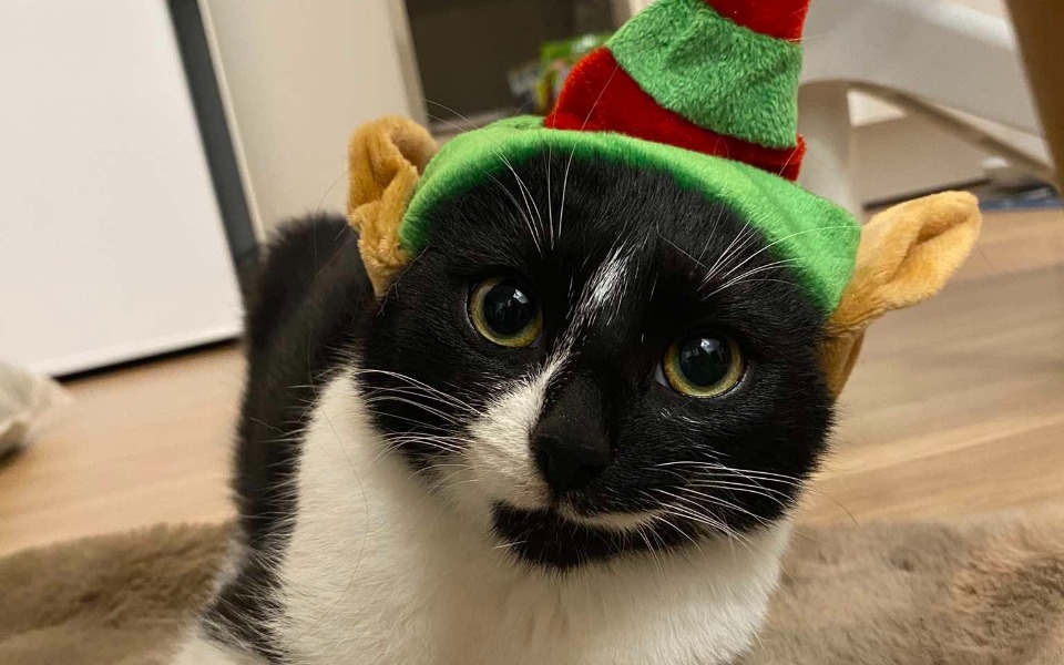 
        Zbiórka Święta z Nadzieją - zdjęcie główne
    