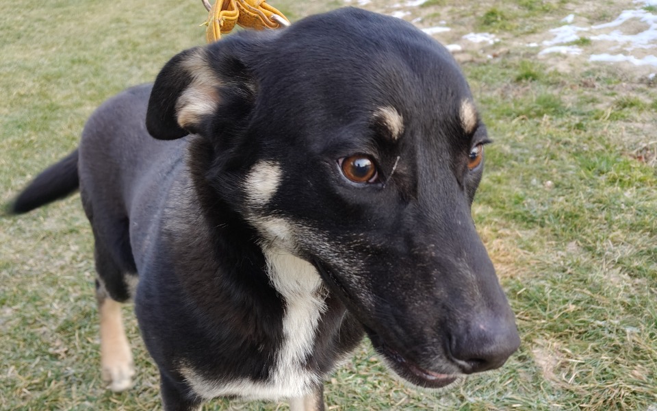 
        Zbiórka Benjamin jedzie do domu - zdjęcie główne
    