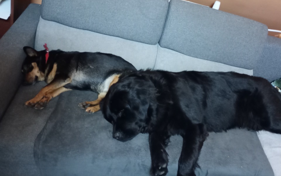 
        Zbiórka Nie strzelam Wspieram - zdjęcie główne
    