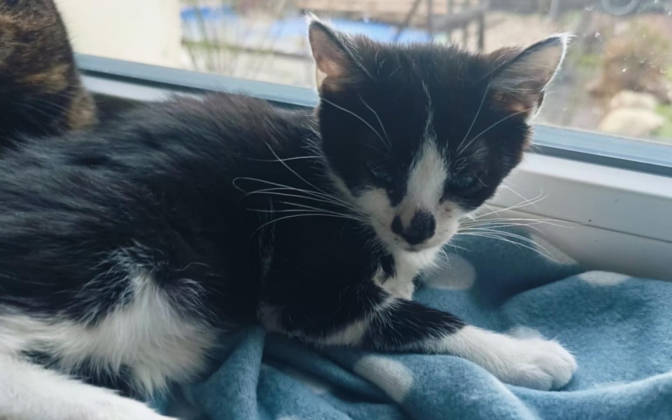 
        Zbiórka Dalszy ciąg koszmaru - zdjęcie główne
    