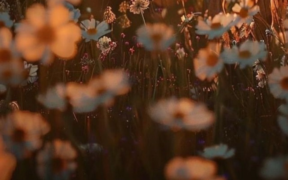 
        Zbiórka Świąteczne pieniądze - zdjęcie główne
    