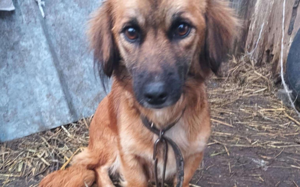 
        Zbiórka Upodlona matka i jej malenstwa - zdjęcie główne
    