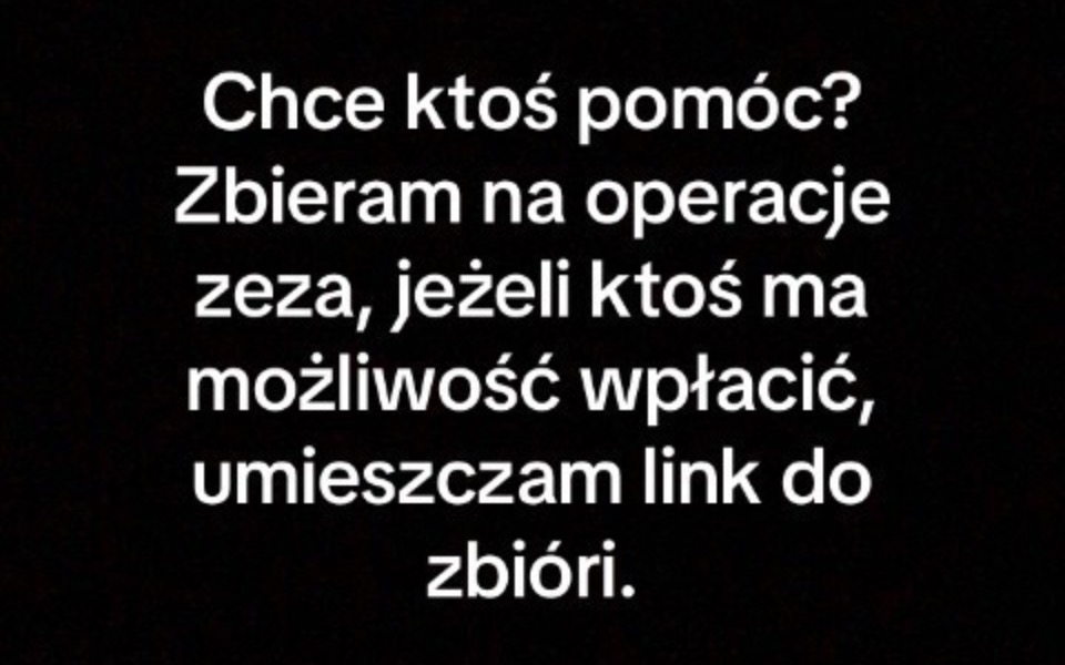 
        Zbiórka Najwiekszy kompleks-zez. - zdjęcie główne
    
