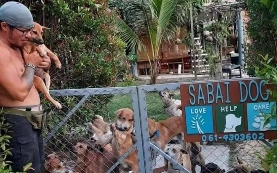 
        Mężczyzna trzymający psa wśród innych psów w ogrodzie.
    