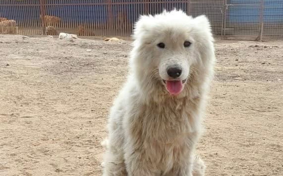 
        Zbiórka Haszcza Nadzieja - zdjęcie główne
    