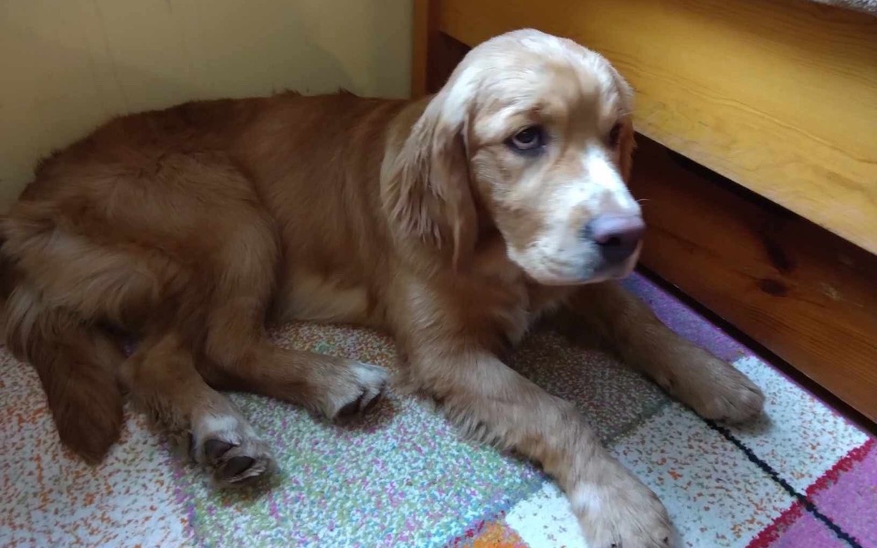 
        Zbiórka Pomóż Sarze Stanąć na Nogi - zdjęcie główne
    