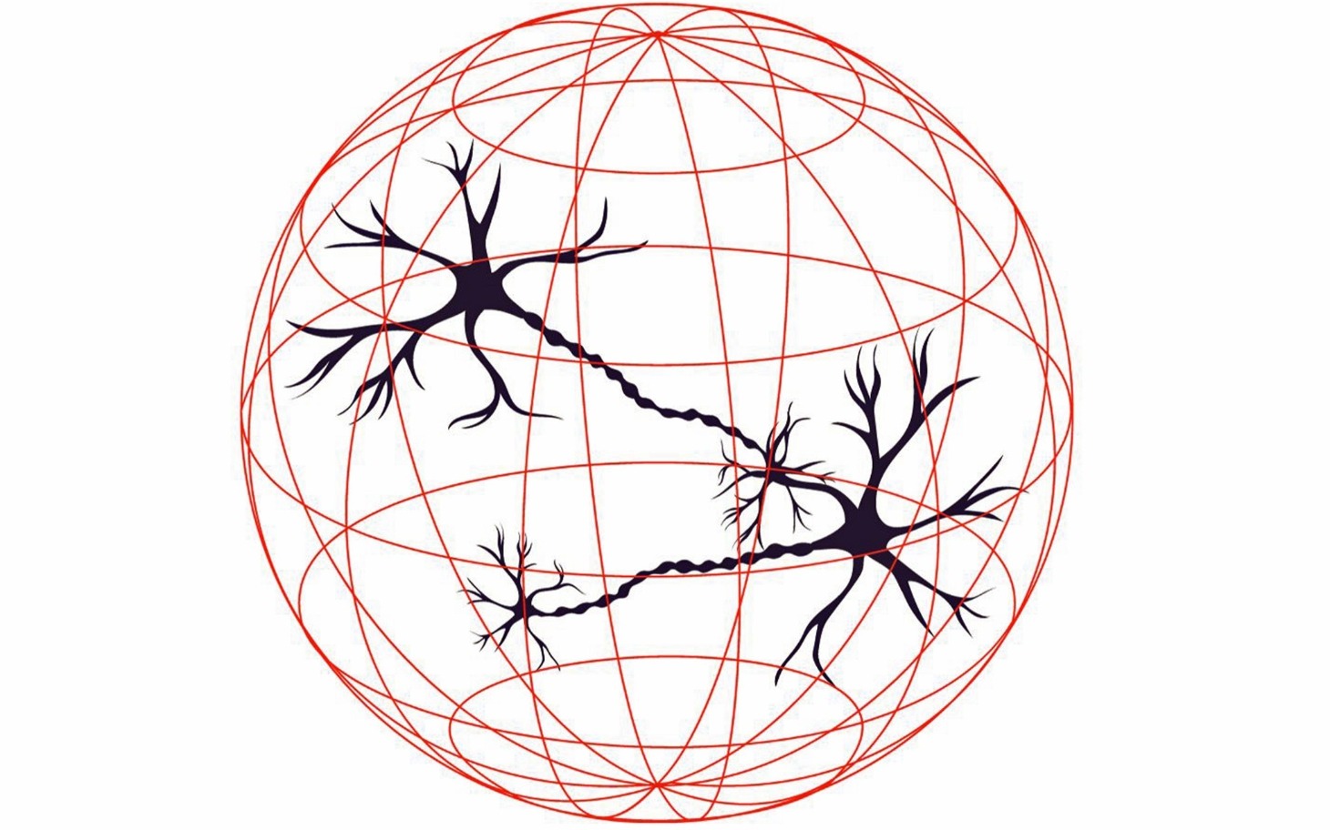 
        Ilustracja neuronów na tle siatki, symbolizująca połączenia w mózgu.
    