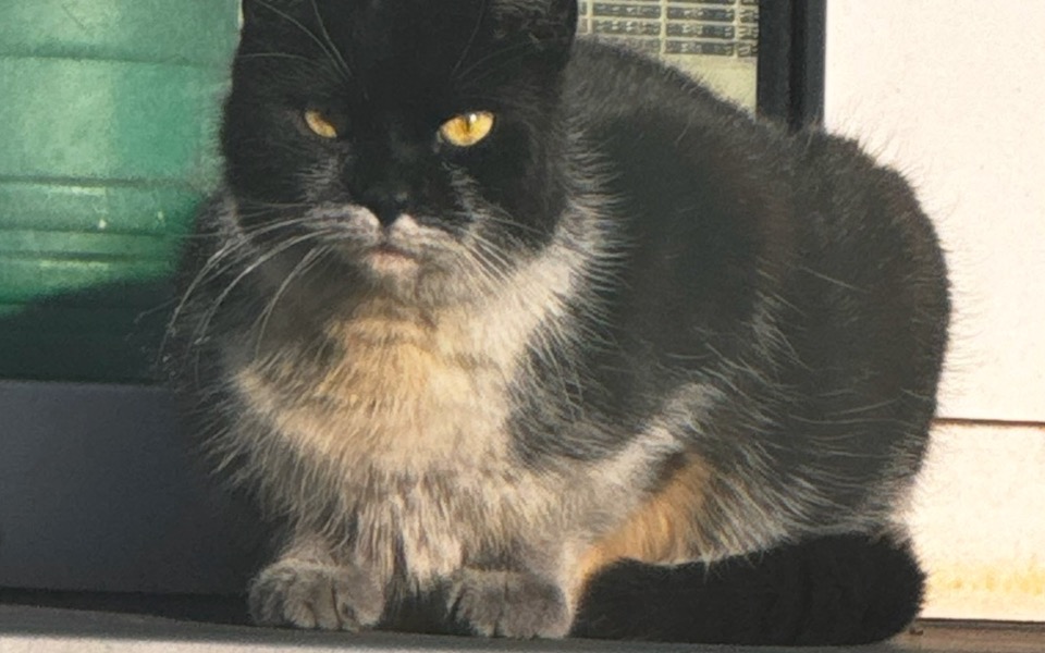 
        Zbiórka Domek dla bezdomniakow - zdjęcie główne
    