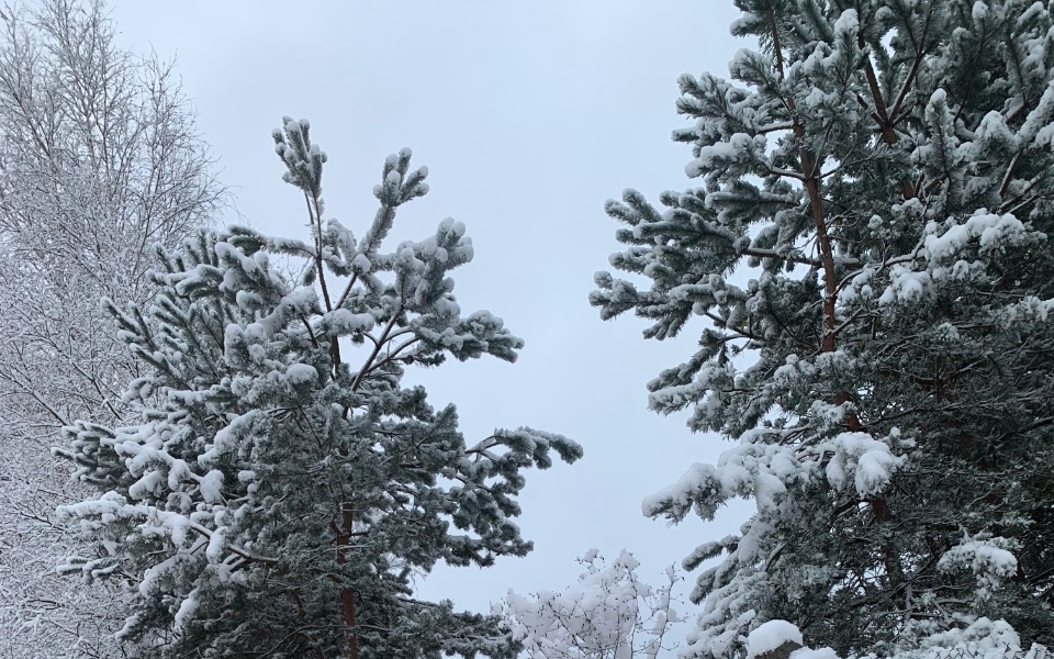 
        Zbiórka Wyprowadzka do Londynu - zdjęcie główne
    