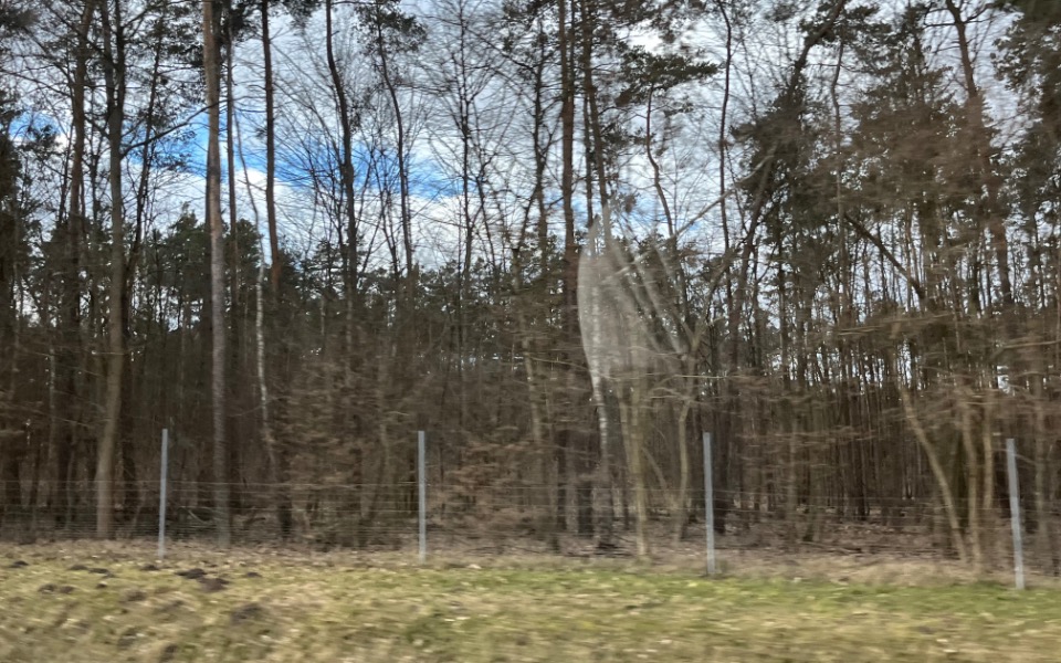 
        Zbiórka Na urodziny na telefon - zdjęcie główne
    