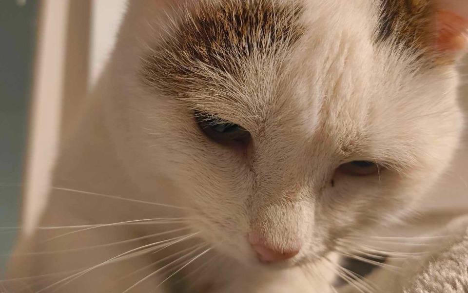 
        Zbiórka Leki na cito dla fundacji - zdjęcie główne
    