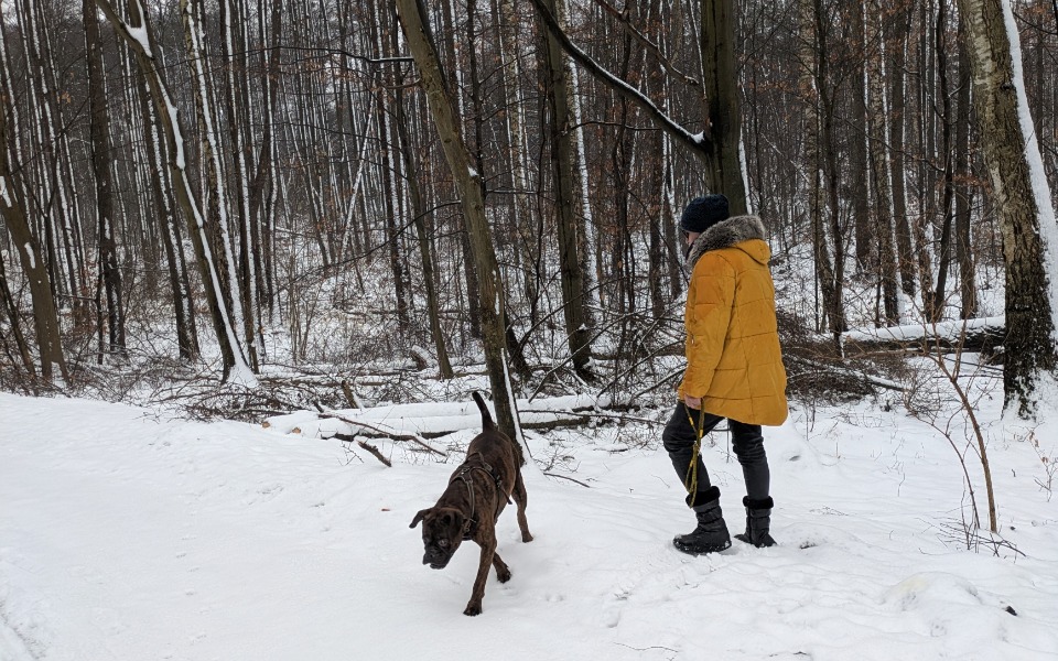 
        Zbiórka Na przeprosiny - zdjęcie główne
    