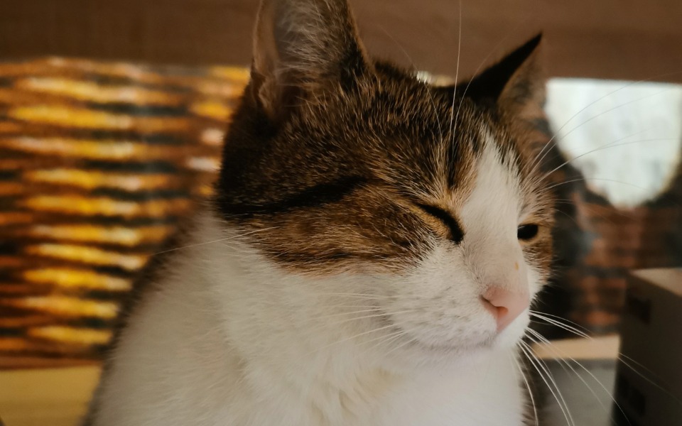 
        Zbiórka Pomóżmy Lei po przejściach - zdjęcie główne
    