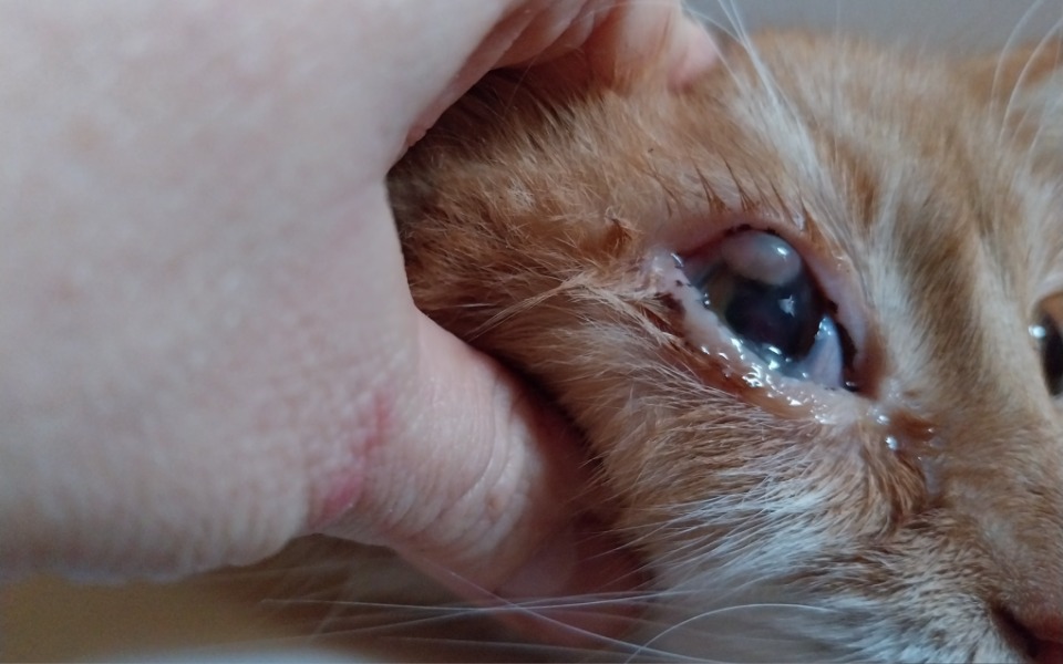 
        Obrazek związany z projektem pomocowym.
    